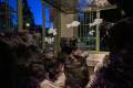 Holdfast_slideshow_12