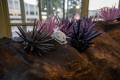 Holdfast_slideshow_8